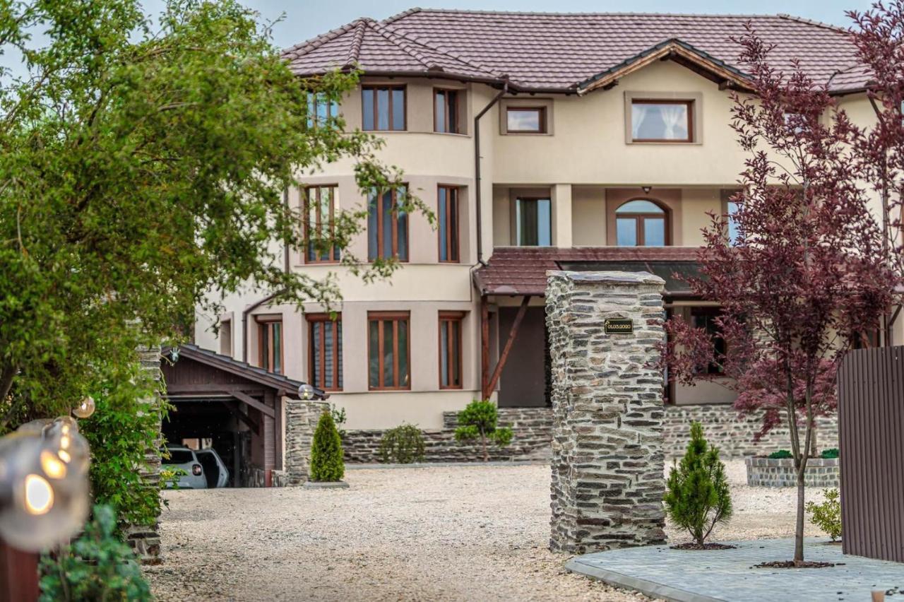 Transilvania Mansion Brasov Exterior photo